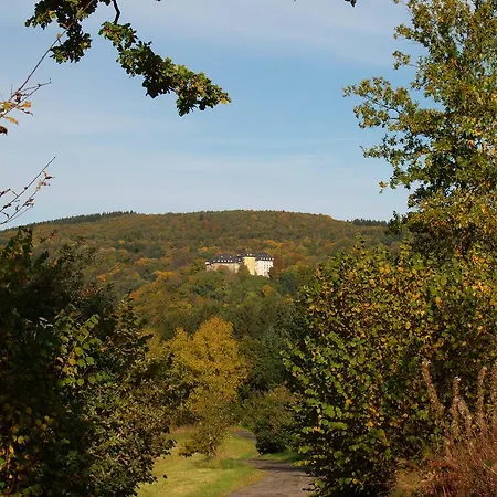 Zum Weissen Stein Hotel