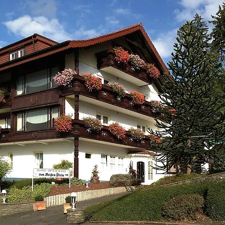 Hotel Zum Weissen Stein 4*
