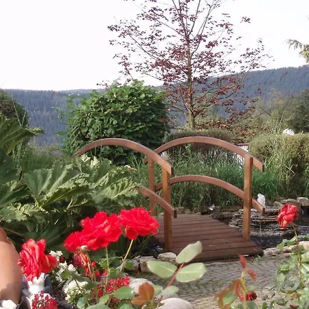 Zum Weissen Stein 4* Kirchen (Rhineland-Palatinate)