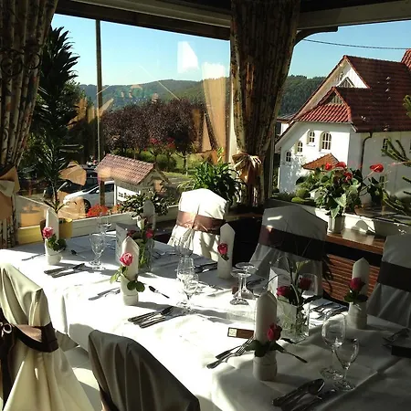 Hotel Zum Weissen Stein 4*