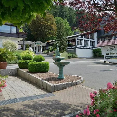 호텔 Zum Weissen Stein