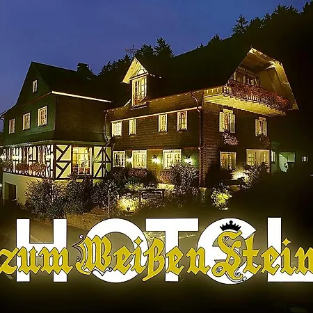 Zum Weissen Stein 호텔 4*