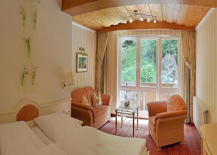 Zum Weissen Stein מלון